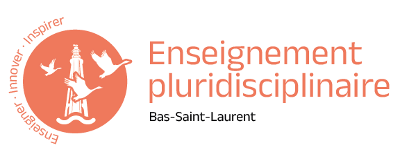 Enseignement pluridisciplinaire